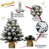 24 Inch Pre-Lit Snow Flocked Tabletop Battery Operated Christmas Tree